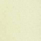 Schumacher Willow Leaf Sage Wallpaper