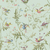 Cole & Son HUMMINGBIRDS BLUE MULTI-COLOUR Wallpaper