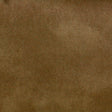 Stout TURCO PRAIRIE Fabric