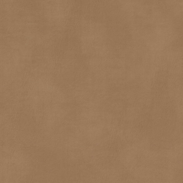 Stout TURCO CARAMEL Fabric