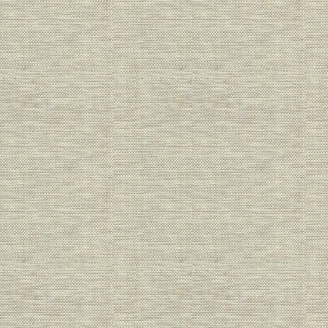 Kravet BASICS 30299 106 Fabric