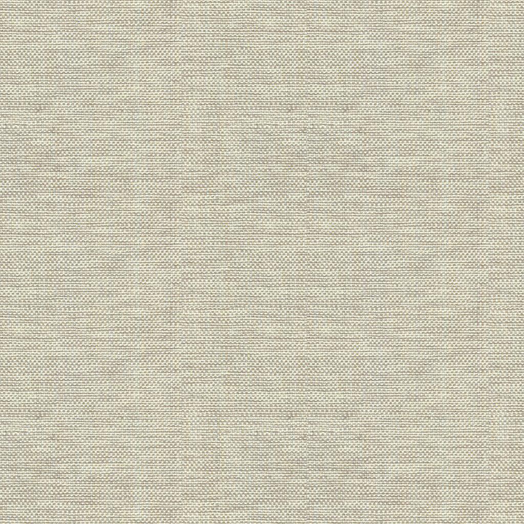 Kravet BASICS 30299 106 Fabric