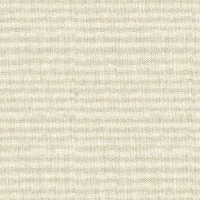 Kravet BASICS 30299 111 Fabric