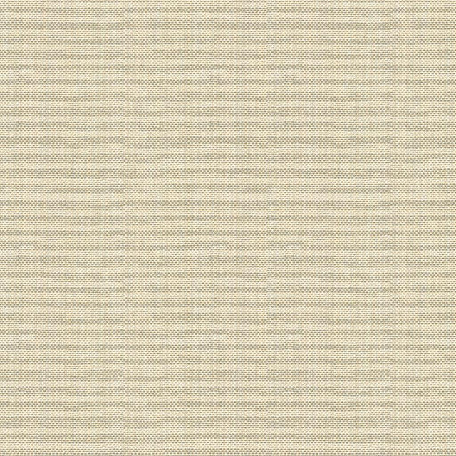 Kravet BASICS 30299 1116 Fabric