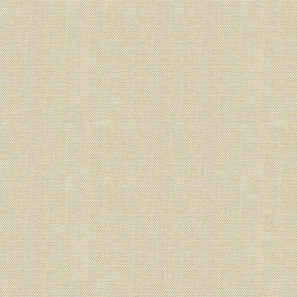 Kravet BASICS 30299 1116 Fabric