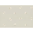 Cole & Son PEASEBLOSSOM STONE Wallpaper