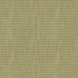 Kravet BASICS 32290 3 Fabric