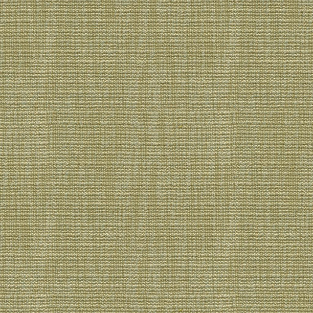 Kravet BASICS 32290 3 Fabric