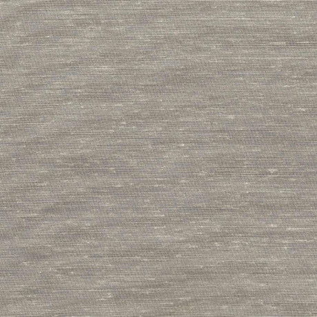 Kasmir Sh365 Champagne Fabric