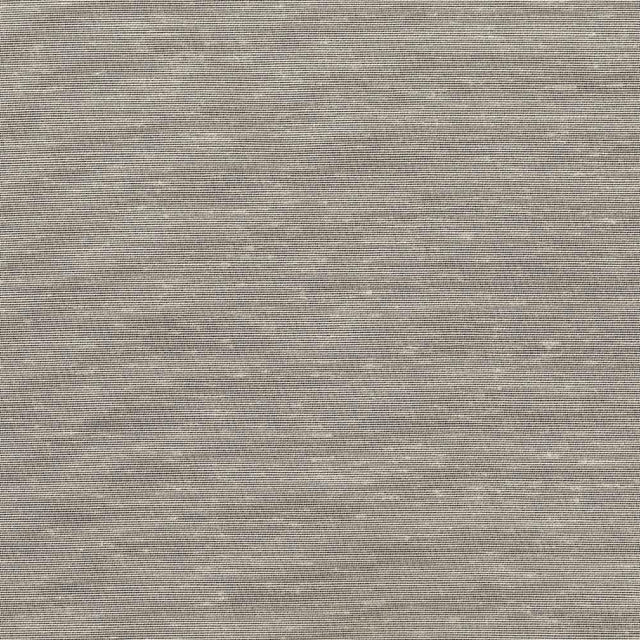 Kasmir Sh365 Champagne Fabric