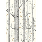 Cole & Son WOODS & STARS BLACK/WHITE Wallpaper
