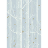 Cole & Son WOODS & STARS POWDER BLUE Wallpaper