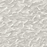Cole & Son Columbus Black &White Wallpaper