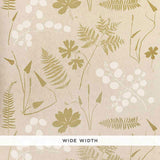 Schumacher Modern Botanical Parchment Wallpaper