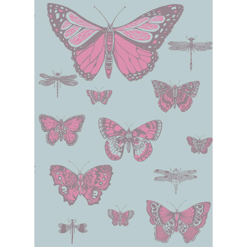 Cole & Son Butterflies & Dragonflies Pink On Blue Wallpaper