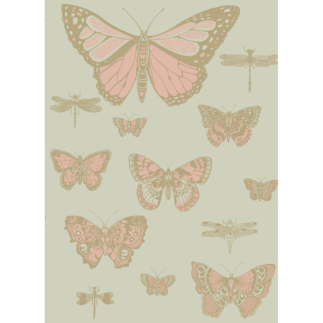 Cole & Son BUTTERFLIES & DRAGONFLIES PINK ON OLIV Wallpaper