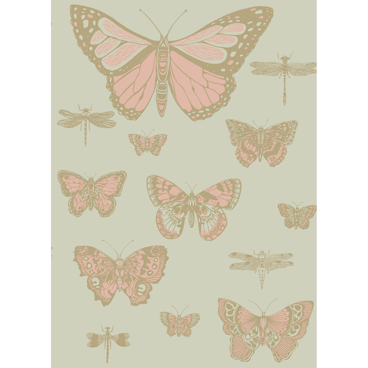 Cole & Son BUTTERFLIES & DRAGONFLIES PINK ON OLIV Wallpaper