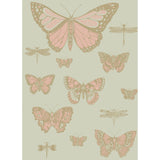 Cole & Son BUTTERFLIES & DRAGONFLIES PINK ON OLIV Wallpaper