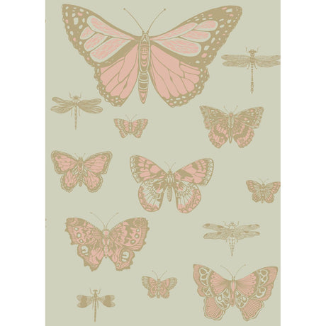 Cole & Son BUTTERFLIES & DRAGONFLIES PINK ON OLIV Wallpaper