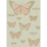 Cole & Son Butterflies & Dragonflies Pink On Oliv Wallpaper
