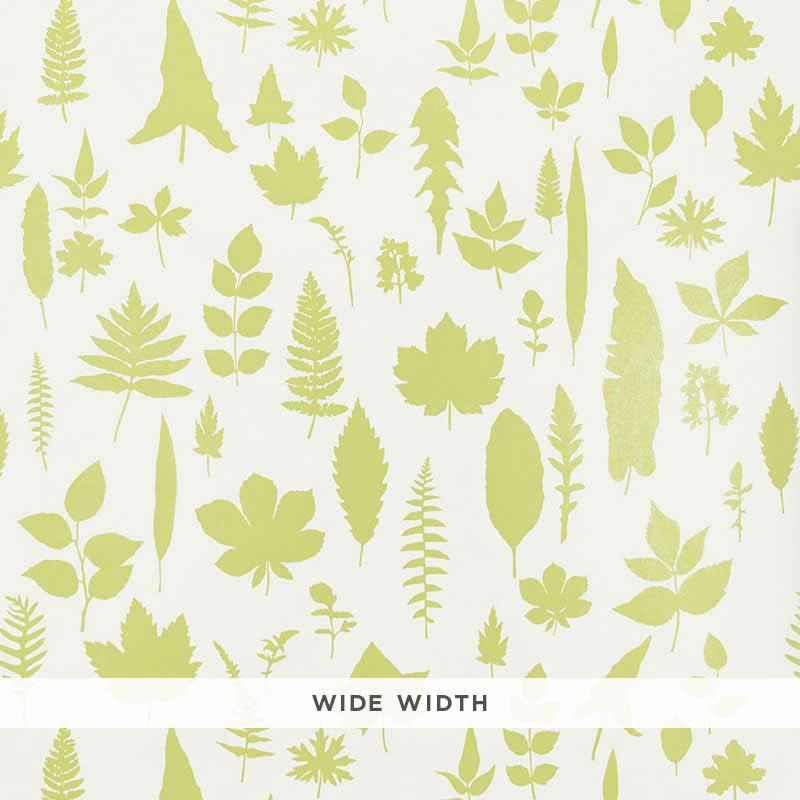 Schumacher Leaves Chartreuse Wallpaper