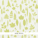 Schumacher Leaves Chartreuse Wallpaper