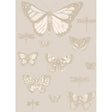 Cole & Son BUTTERFLIES & DRAGONFLIES GREY Wallpaper
