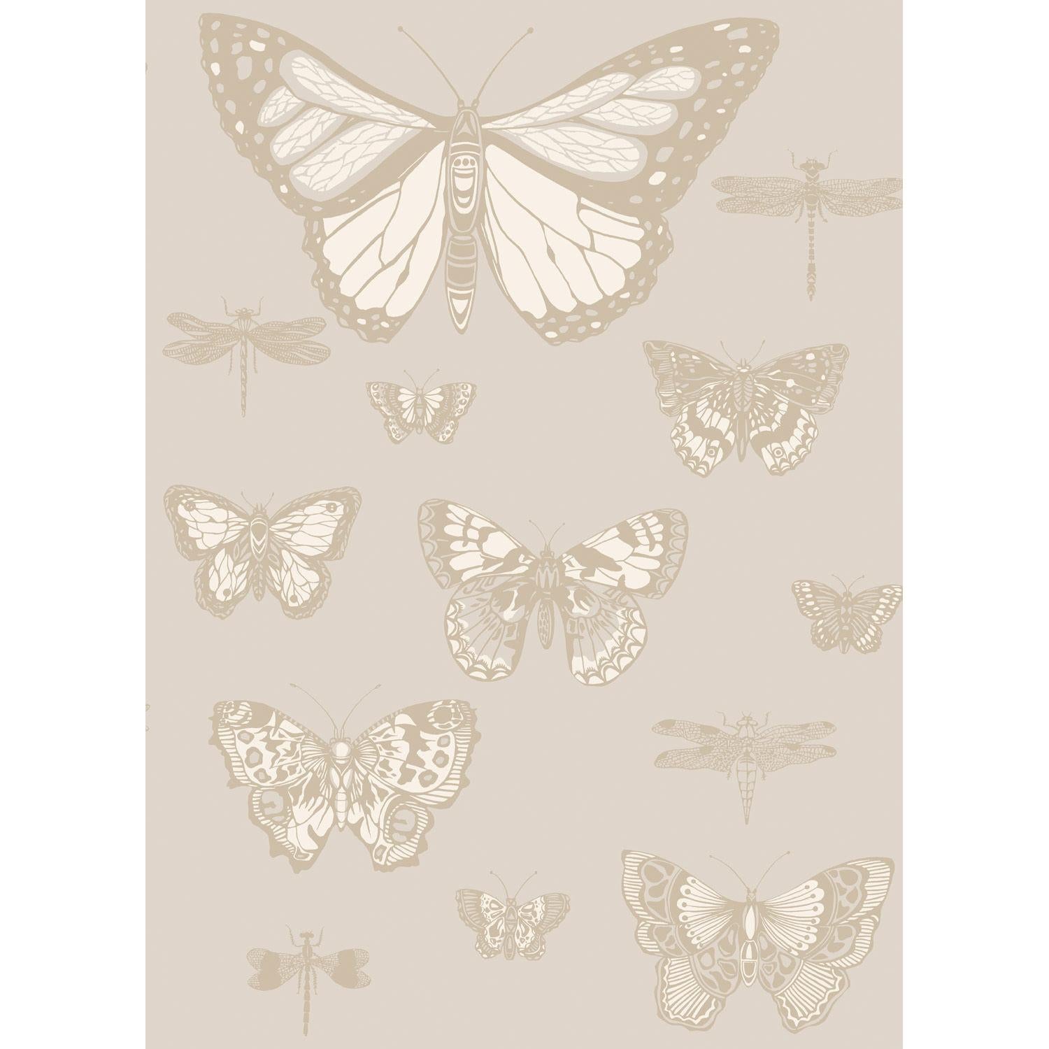 Cole & Son Butterflies & Dragonflies Grey Wallpaper