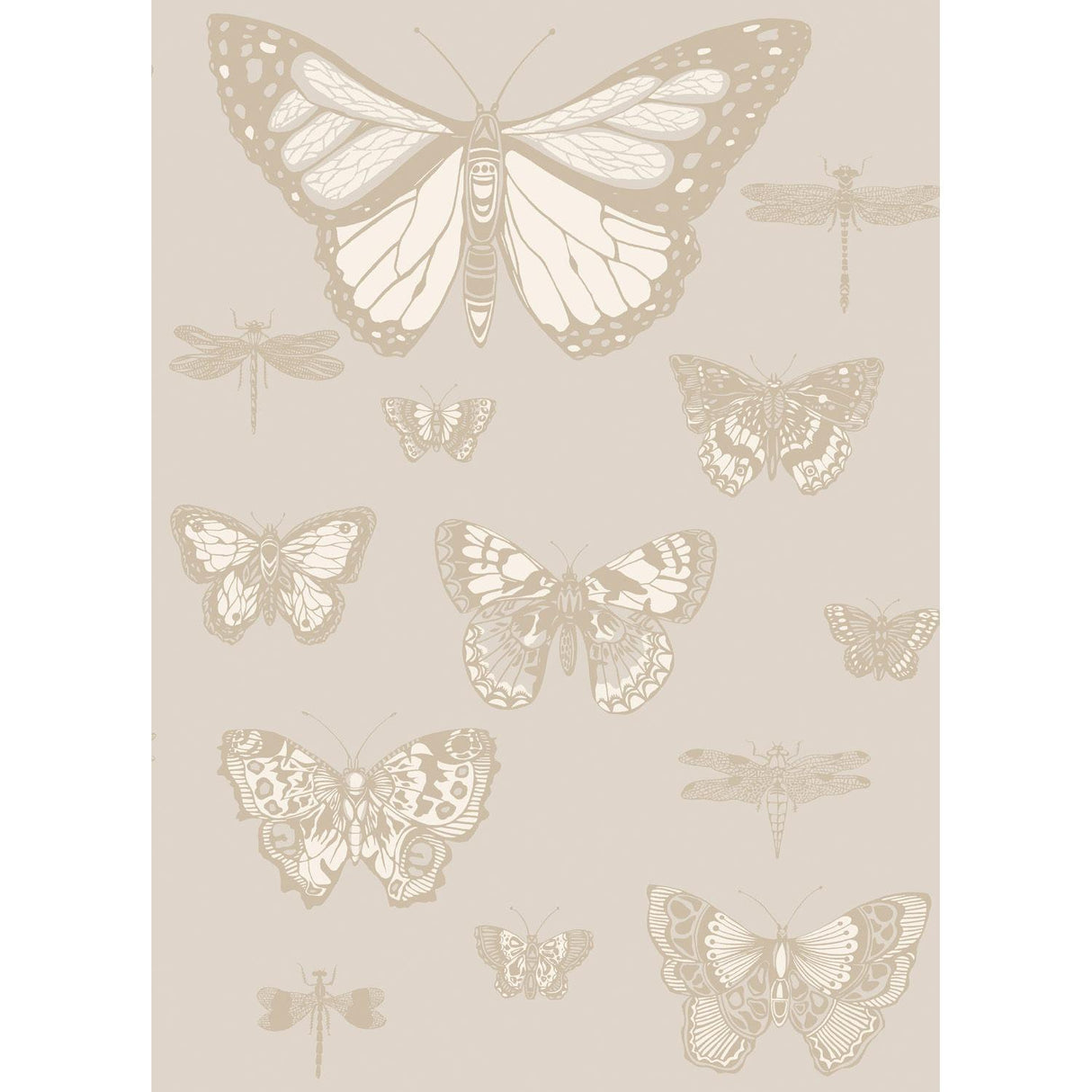 Cole & Son BUTTERFLIES & DRAGONFLIES GREY Wallpaper