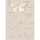 Cole & Son BUTTERFLIES & DRAGONFLIES GREY Wallpaper