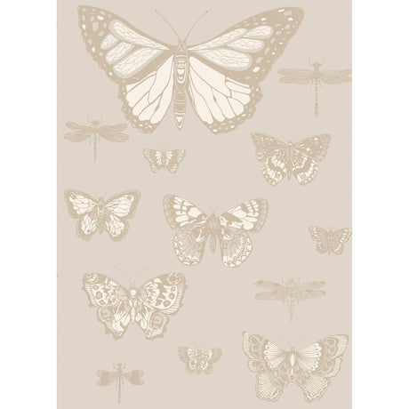Cole & Son BUTTERFLIES & DRAGONFLIES GREY Wallpaper