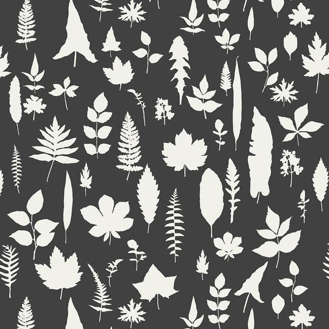 Schumacher Leaves Graphite Wallpaper