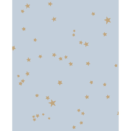 Cole & Son STARS POWDER BLUE Wallpaper