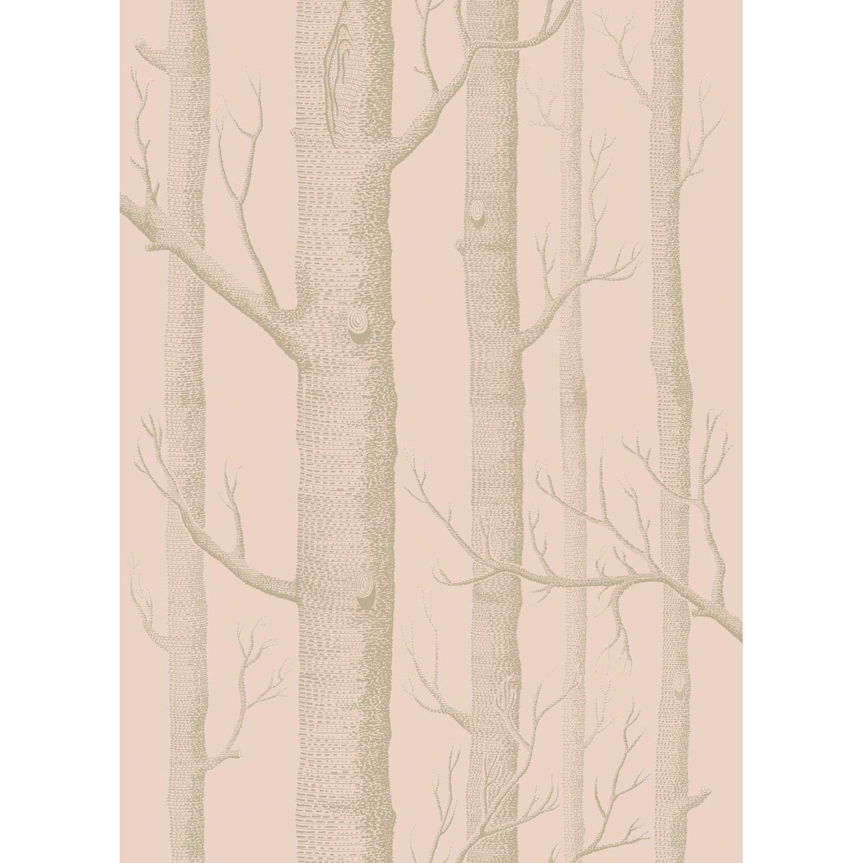 Cole & Son WOODS PINK/GILVER Wallpaper