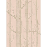 Cole & Son Woods Pink/Gilver Wallpaper