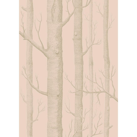 Cole & Son Woods Pink/Gilver Wallpaper