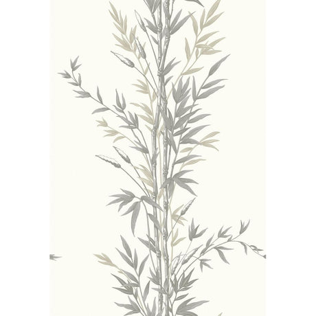 Cole & Son BAMBOO CHARCOAL Wallpaper