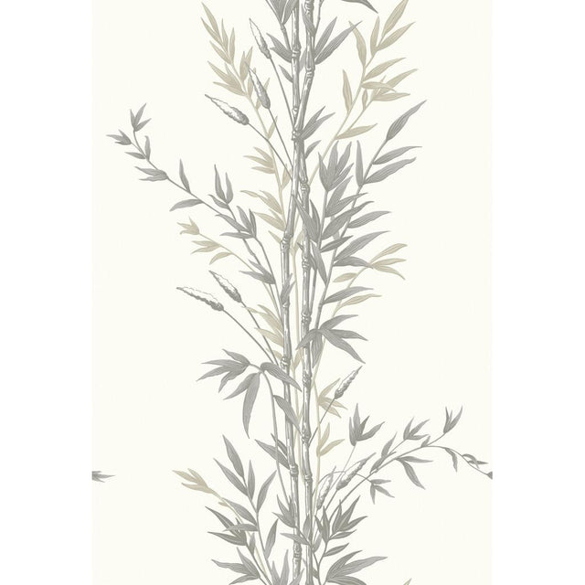 Cole & Son BAMBOO CHARCOAL Wallpaper