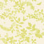 Schumacher Shadow Vine Chartreuse Wallpaper