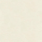 Kravet SARASOTA OFF WHITE Fabric