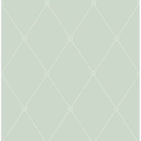 Cole & Son LARGE GEORGIAN ROPE TRELLIS DUCK EGG Wallpaper