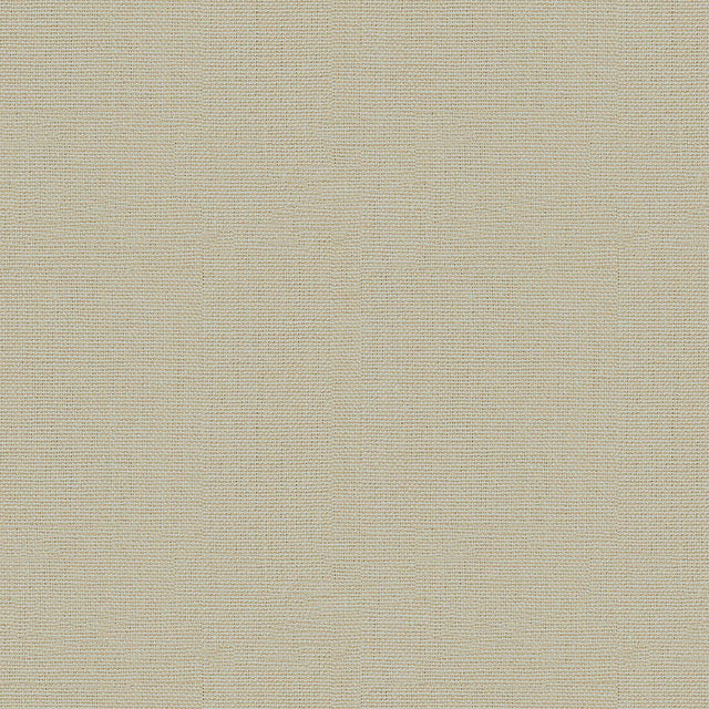 Kravet WATERMILL STONE Fabric
