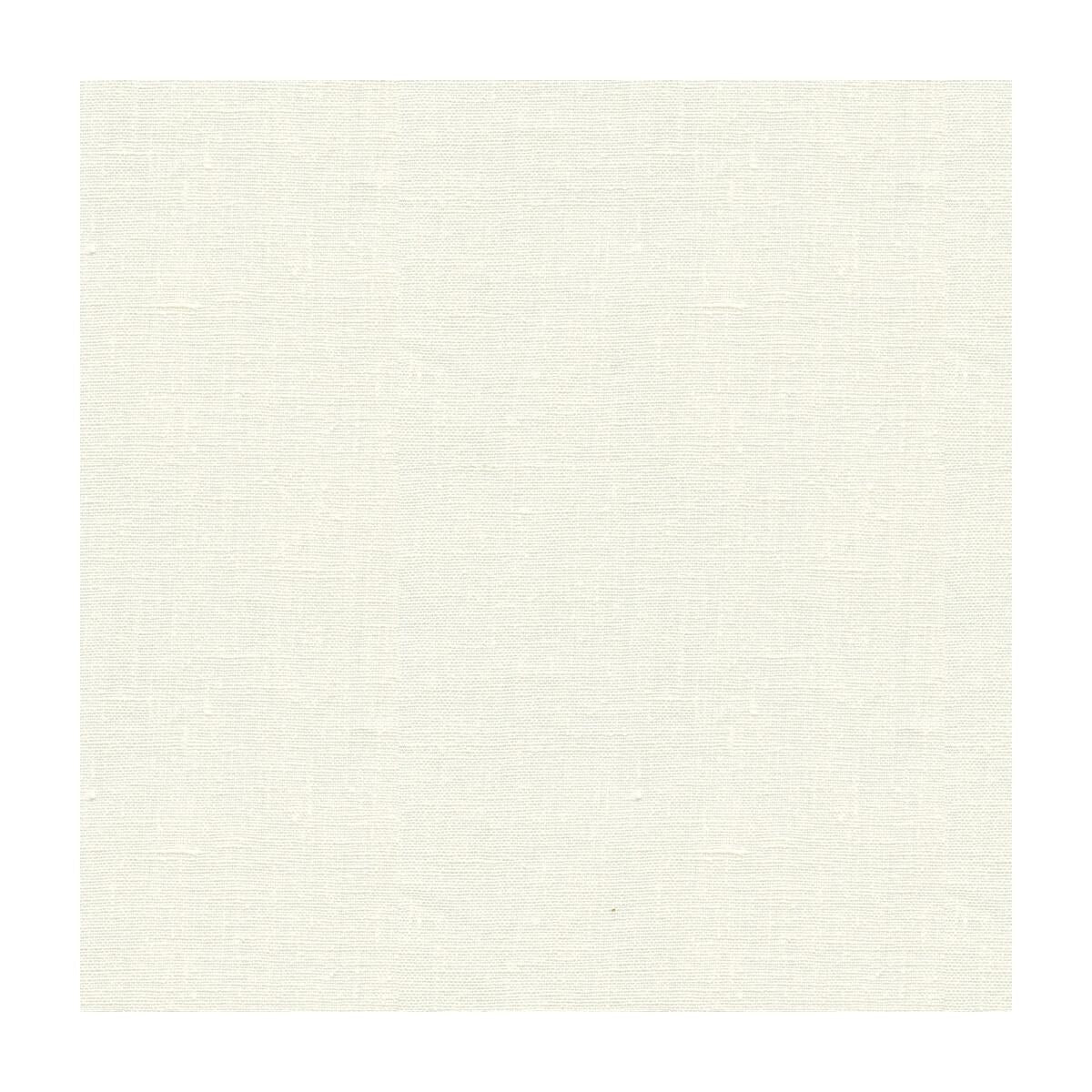 Kravet Dublin Bleach Fabric