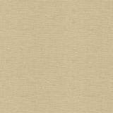 Kravet DUBLIN PEBBLE Fabric