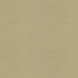 Kravet DUBLIN LINEN Fabric
