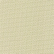 Kasmir Shandong Stem Fabric
