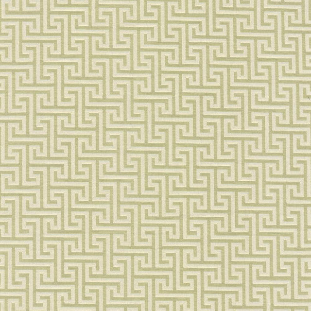 Kasmir Shandong Stem Fabric