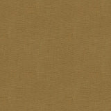 Kravet DUBLIN DUNE Fabric