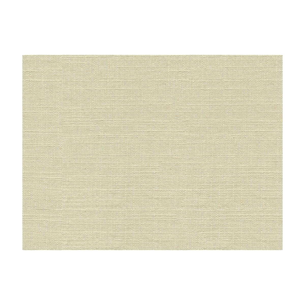 Kravet 33401 1111 Fabric