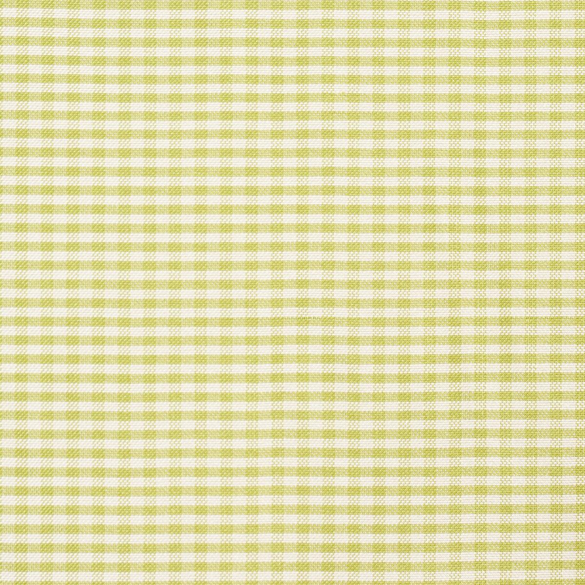 Schumacher Dalton Silk Gingham Chartreuse Fabric